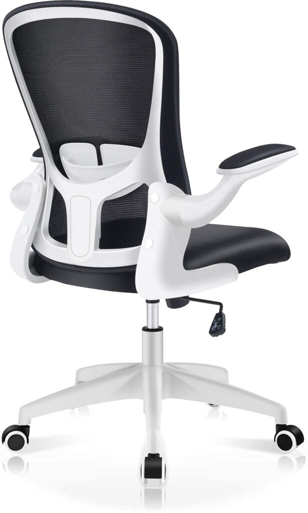 Felix King Ergonomic Desk Chair Chair For Neck Pain